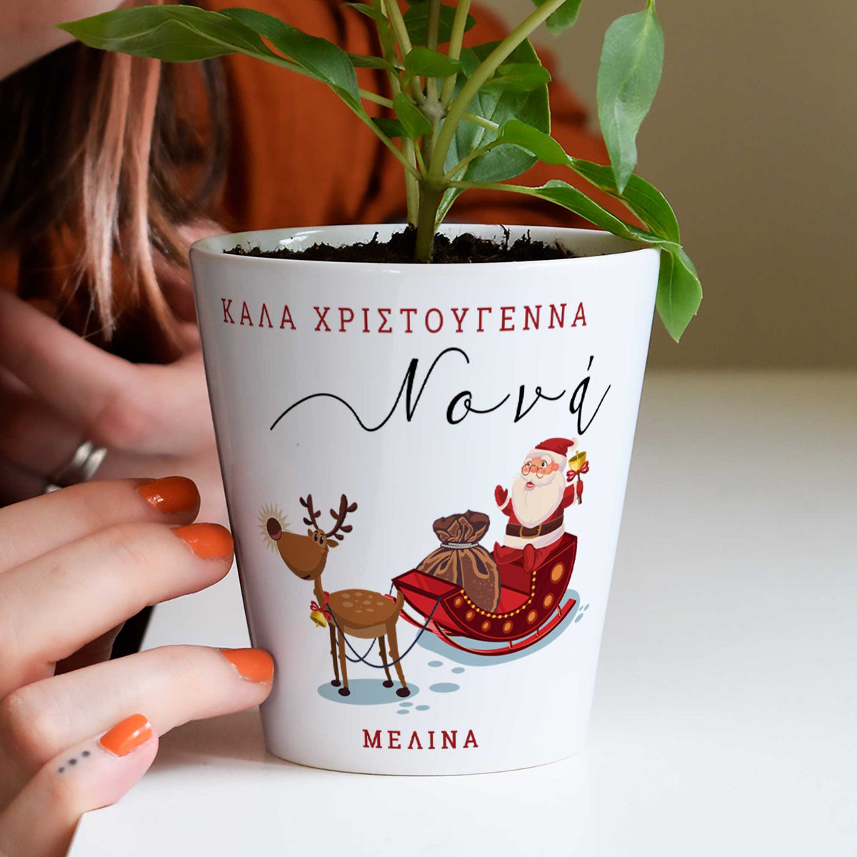 Merry Christmas Godmother - Flower Pot - GOTShirts
