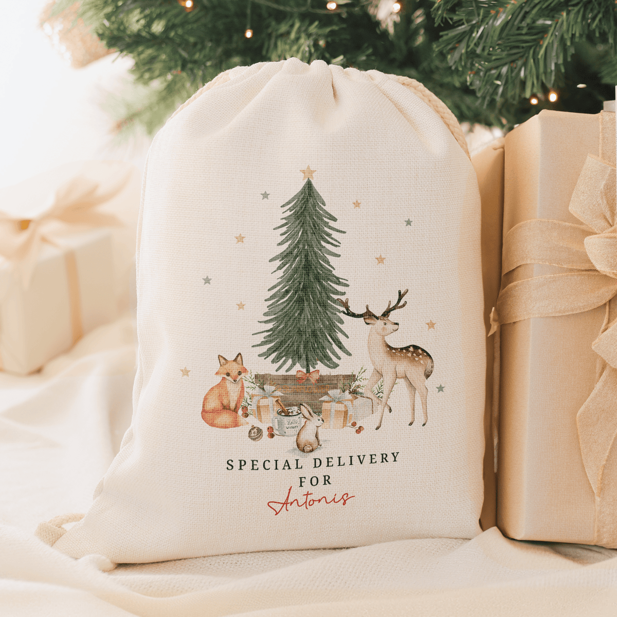 Special Delivery Forest Animals - Christmas Drawstring Sack - GOTShirts