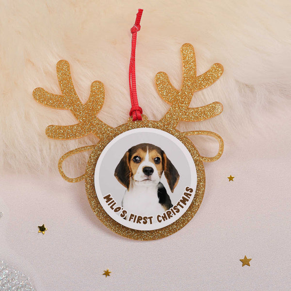Pet Photo - Glitter Reindeer Ornament - GOTShirts