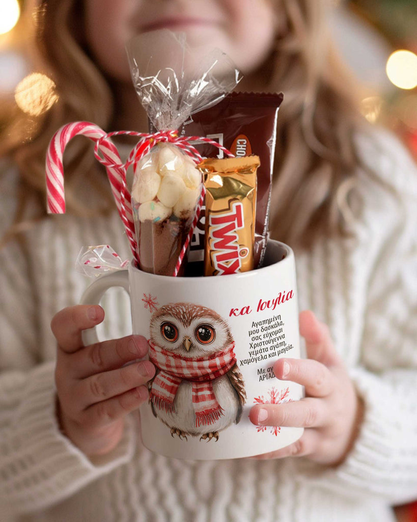 Christmas Owl - Ceramic Mug Hot Chocolate Gift Set - GOTShirts