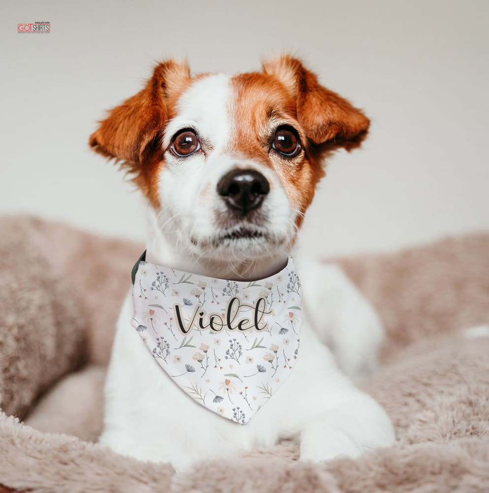 Create Your Own - Pet Bandana - GOTShirts
