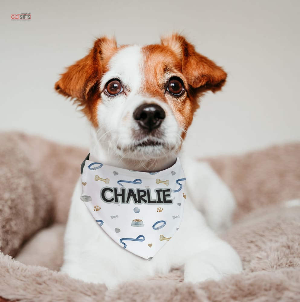 Pet Bandana