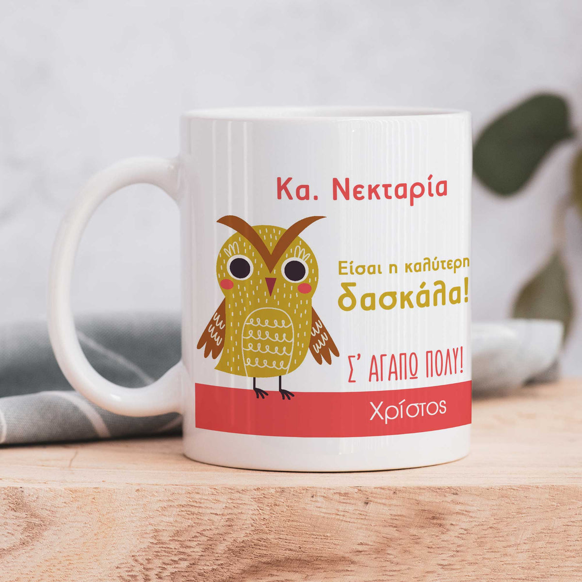 Owl Teacher - Ceramic Mug 330ml - GOTShirts